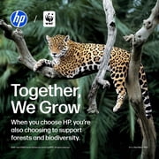 HP DeskJet 2952 Wireless All-in-One Color Inkjet Printer, 3 Months Free Instant Ink, Black