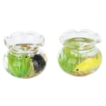 thumbnail image 4 of Mini Pecera De Cristal Para Casa De Muñecas, Pecera En Miniatura Para Casa De Muñecas, Pecera A Escala 1:12, Pecera Dorada, 4 Piezas De Vidrio De Borosilicato Alto Para OTVIAP 4 piezas, 4 of 8