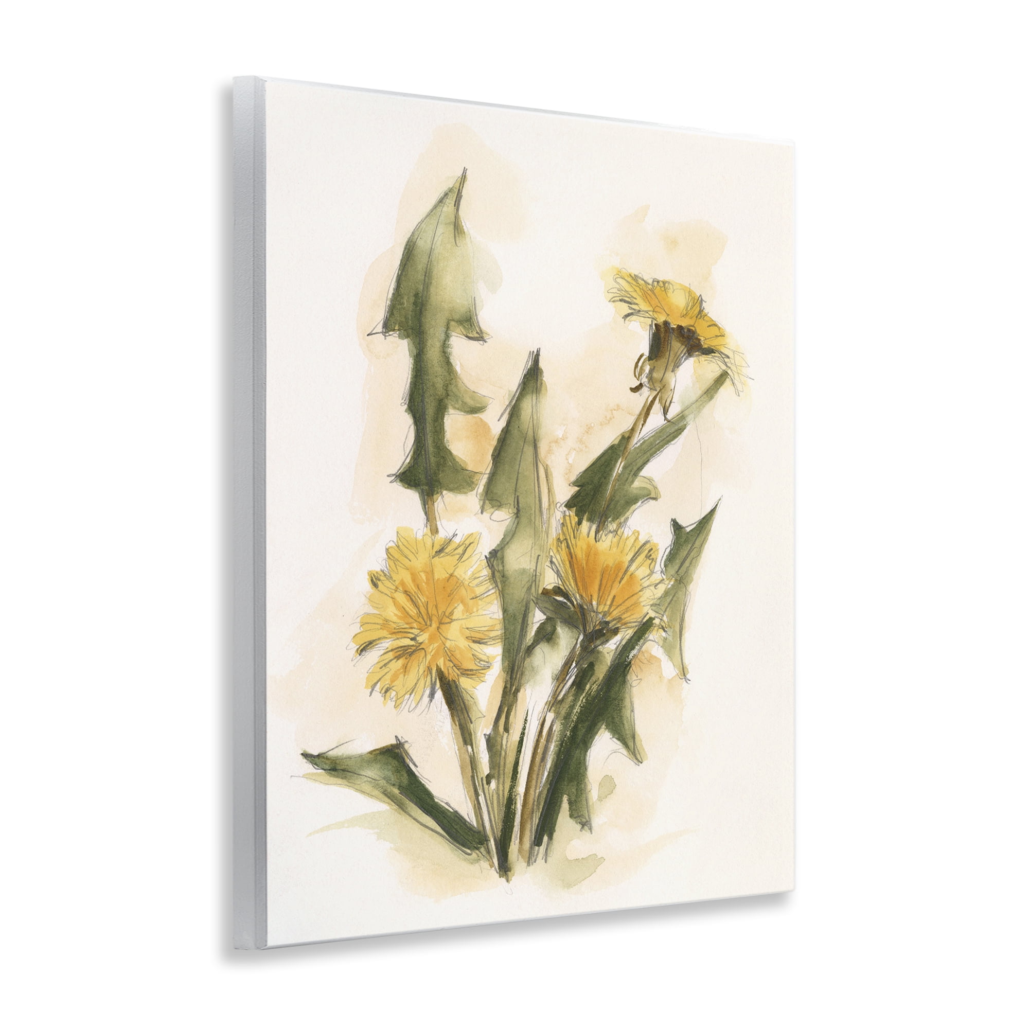 Stupell Industries Traditional Yellow Dandelion Botanical & Floral Painting Unframed Art Print Wall Art, 11 x 14