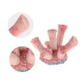 thumbnail image 4 of Unique Bargains 1 Pcs Colorful Coral Reef Decor Mini Faux Coral Decor for Aquarium Decorations Pink 3.6x2.3cm, 4 of 6