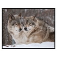thumbnail image 4 of Kit de Algodón 3 Hebras Bordado Punto Cruz Nieve 11CT Cgtredaw, 4 of 9