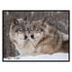thumbnail image 4 of Costura Estampada Bordado Nieve 3 Hebras 11CT Kit Bricolaje Algodón Impreso Punto Cruz, 4 of 9