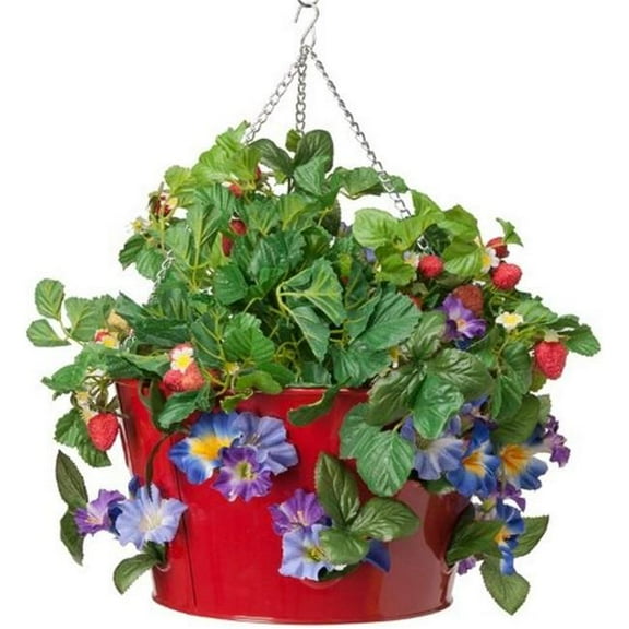 HIT 8494E XR 14 x 8 in. Enameled Galvanized Strawberry Floral Hanging Planter, Red