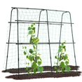 thumbnail image 1 of Enrejado para plantas trepadoras Lalahoni, arco metálico, 163 x 60 x 163 cm, 1 of 7