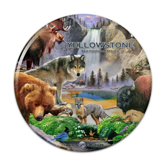 Yellowstone National Park Wyoming Montana Idaho Animals Wolf Bear Fox Bison Kitchen Refrigerator Locker Button Magnet