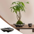thumbnail image 1 of Maceta de cerámica para cultivo de agua, para el hogar, de gran diámetro y con base alta, para escritorio, de cerámica, 1 of 7