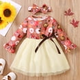 thumbnail image 2 of Diconna Tenue d'Halloween 2 Pcs pour Tout-Petite Fille Robe en Tulle Citrouille Bandeau, 2 of 9
