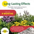 thumbnail image 3 of St. Gabriel Organics Insect Dust Diatomaceous Earth for Indoor and Outdoor Insect Control, 4lbs, 3 of 6