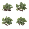thumbnail image 1 of 4 Piezas De Plantas De Resina De Hábitat De Para Dragones , , Y Serpientes, 1 of 9