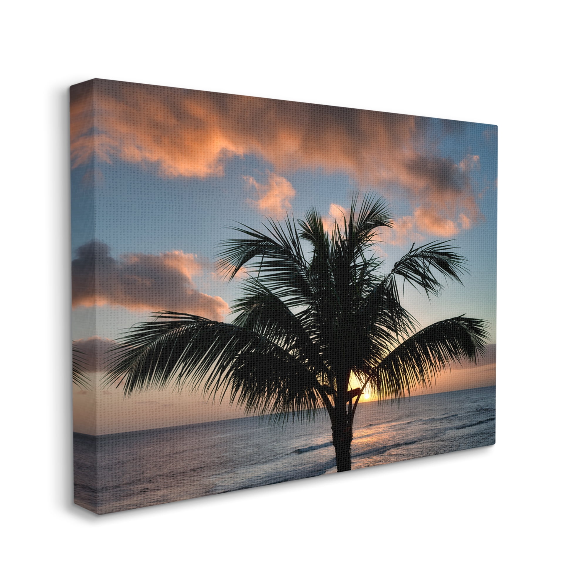 Stupell Industries Tropical Palm Photography Nature Photography Gallery Wrapped Canvas Print Wall Art, 30 x 24