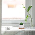 thumbnail image 6 of BELUPAI Environmentally Friendly Round Succulent Ceramic Flower Pot Bamboo Tray Creative Tabletop Tea Set Coaster, 6 of 17