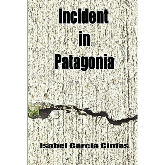Incident in Patagonia