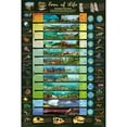 thumbnail image 1 of Eras of Life Geological Time Scale Educational Science Chart Poster 24 x 36, 1 of 3