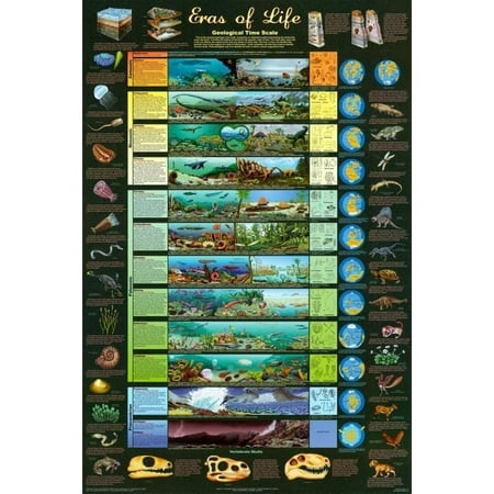 Eras of Life Geological Time Scale Educational Science Chart Poster 24 x 36