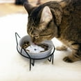 thumbnail image 2 of Meow - 13 oz Ceramic Pet Bowl with Metal Stand, 2 of 6