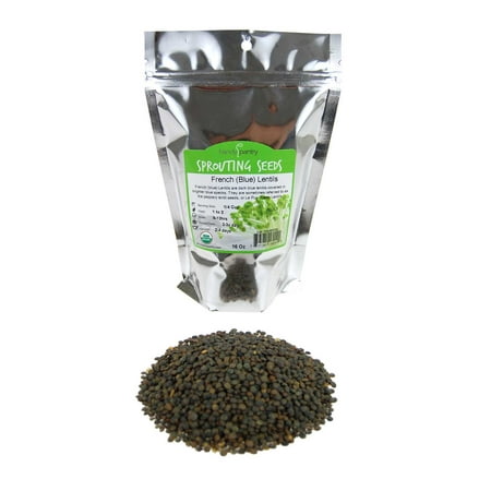 Organic French Lentil Sprouting Seeds - 1 Lb - French (Blue) Lentils - Perfect for Edible Seeds, Gardening, Hydroponics, Salad, Soup, Sprouts & Food
