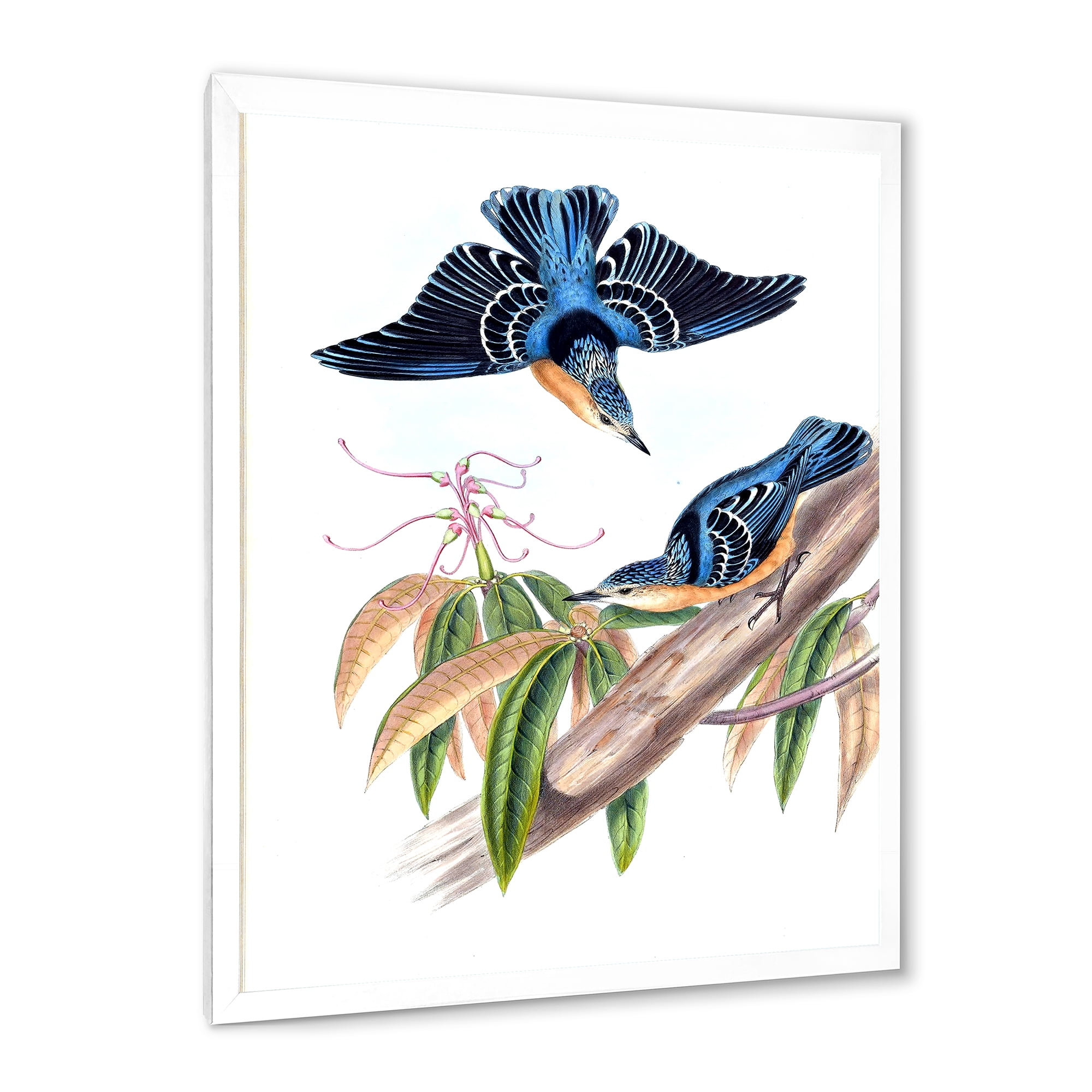 Designart 'Vintage Countryside Birds On Branch V' Farmhouse Framed Art Print