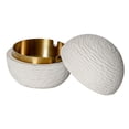 thumbnail image 2 of Cenicero moderno con tapa | Cenicero revestido de acero inoxidable en negro, blanco y gris | Recipiente para humo duradero con tapa para uso en interiores y exteriores | Oficina, patio, hogar, uso, 2 of 5