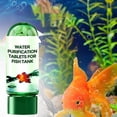 thumbnail image 1 of Iodue Cleaning Agents Powerful Aquarium Water Purification Tablet For Fish Tank Water Purifying Tablets For Aquariums Turbidity Removal, 1 of 4