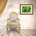 thumbnail image 3 of Ostrowitz, Mallorie 18x13 Gold Ornate Wood Framed with Double Matting Museum Art Print Titled - Close-up of the fronds of the Sago Palm Tree, 3 of 4