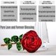 thumbnail image 4 of Flor de rosa roja de cristal con hojas verdes, jarrón de cristal para aniversario de boda/esposa, regalos románticos para siempre para el día de San Valentín/cumpleaños/boda Sincero Electrónica, 4 of 4
