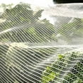 thumbnail image 6 of Agfabric Anti Hail Netting - Bird Netting Alternative - Protect Fruits and Plants from Hail Damage, Diamond-Shaped, 26.2x50ft, White, 6 of 7