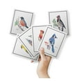 thumbnail image 2 of Twigs Paper - American Birds Note Cards - Set of 12 Blank Assorted Greeting Cards With Envelopes (5.5 x 4.25 Inch) - 100% Eco Friendly Stationery - Made In USA, 2 of 8