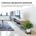 thumbnail image 3 of Milisten Flowerpot Universal Wheel Flower Pot Tray Plant Pot Holder with Wheels 30X30CM, 3 of 8