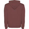 thumbnail image 2 of Roly Mens Urban Hoodie, 2 of 4