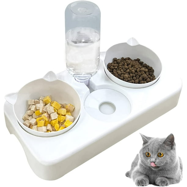 Bowl cat shop