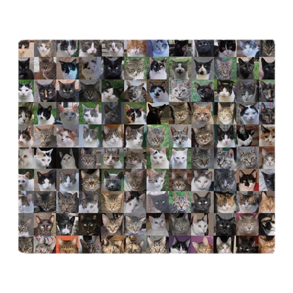 CafePress Cat Shelter Jessica's Cats Soft Fleece Throw Blanket, 50