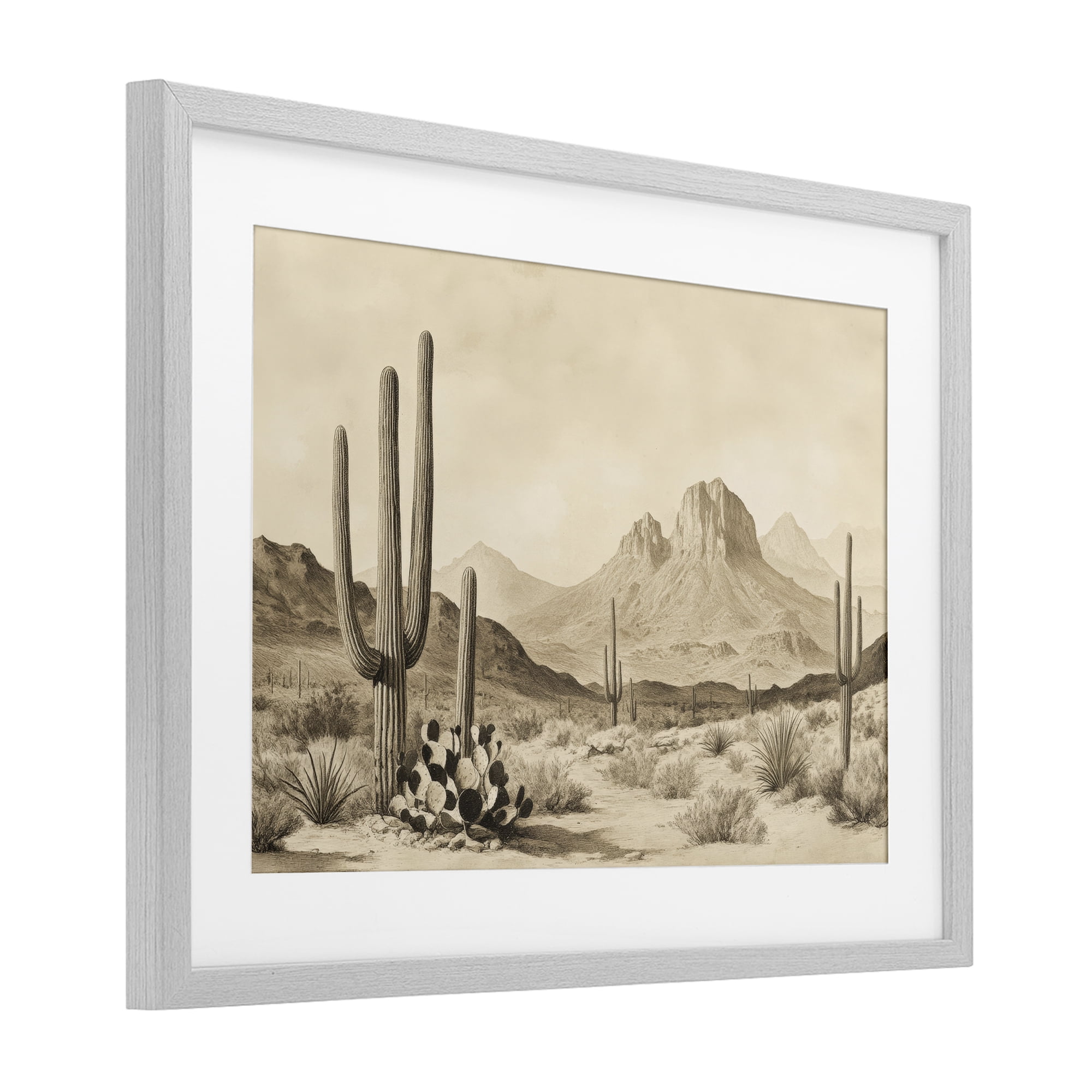 Stupell Industries Arizona Desert Vista Gray Framed Print Under Glass, design by Petal Prints Design