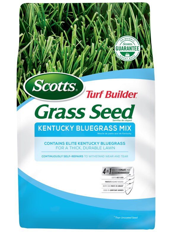 Kentucky Bluegrass Seed in Grass Seed & Sod
