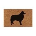 thumbnail image 1 of Coco Coir Door Mat Welcome Outdoor Mats for Front Door Rug Inside Easy Clean Entryway Rug Door Mat Summer Home Decor Doormat for Outdoor and Indoor Use, Perfect for Any Entryway, 16x24 Inch, 1 of 7