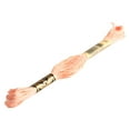 DMC Mouline Special Peach Flesh Floss Embroidery Yarn, 8.7 Yd