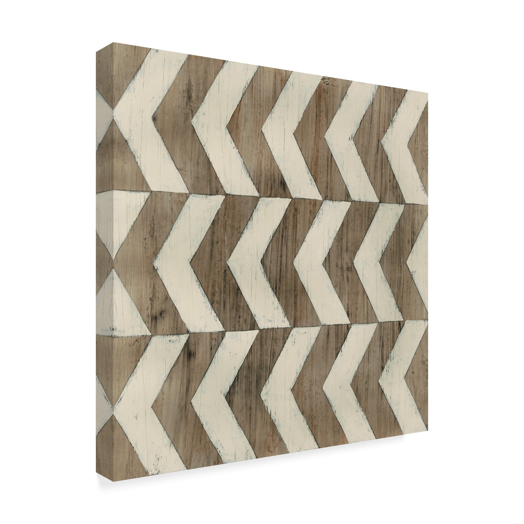 Trademark Fine Art 'Driftwood Geometry III' Canvas Art by June Erica Vess