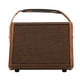 thumbnail image 2 of Amplificador de altavoz inalámbrico para guitarra acústica portátil, batería integrada para Flatsons Crush 15, 2 of 10