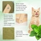 thumbnail image 4 of Catnip Floor Ball Toy, Cat Mint Ball with Wood Stand, Rotatable Roller Ball Toys Scratching Hemp Ball Catnip Toy, Enjoyable and Safe Cat Kitten Playin, 4 of 5