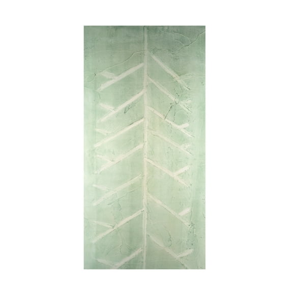 Canvas Wall Art - Vanna Lam 'Veriegatas IV' Wall Art for Living Room, Bedroom, or Office Décor by Trademark Fine Art - 10 x 19 Inches