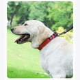 thumbnail image 2 of Heavy Duty Dog Collar, Adjustable Chew Proof Nylon Collar with Metal Quick Release Buckle and D-Ring for Medium Large Dogs, Reflective Outdoor Pet Collar for Walking Hiking Training, Rose Red M, 2 of 3