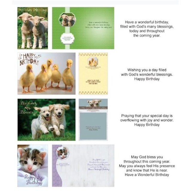 Crown Point Graphics 169546 Shared Blessings Birthday Fur & Feathers Boxed Card - 12 per Box