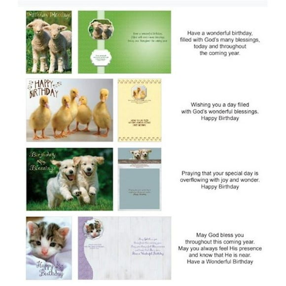 Crown Point Graphics 169546 Shared Blessings Birthday Fur & Feathers Boxed Card - 12 per Box
