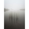 thumbnail image 3 of Ahern, David 11x14 Black Modern Framed Museum Art Print Titled - Reeds In The Mist, 3 of 5