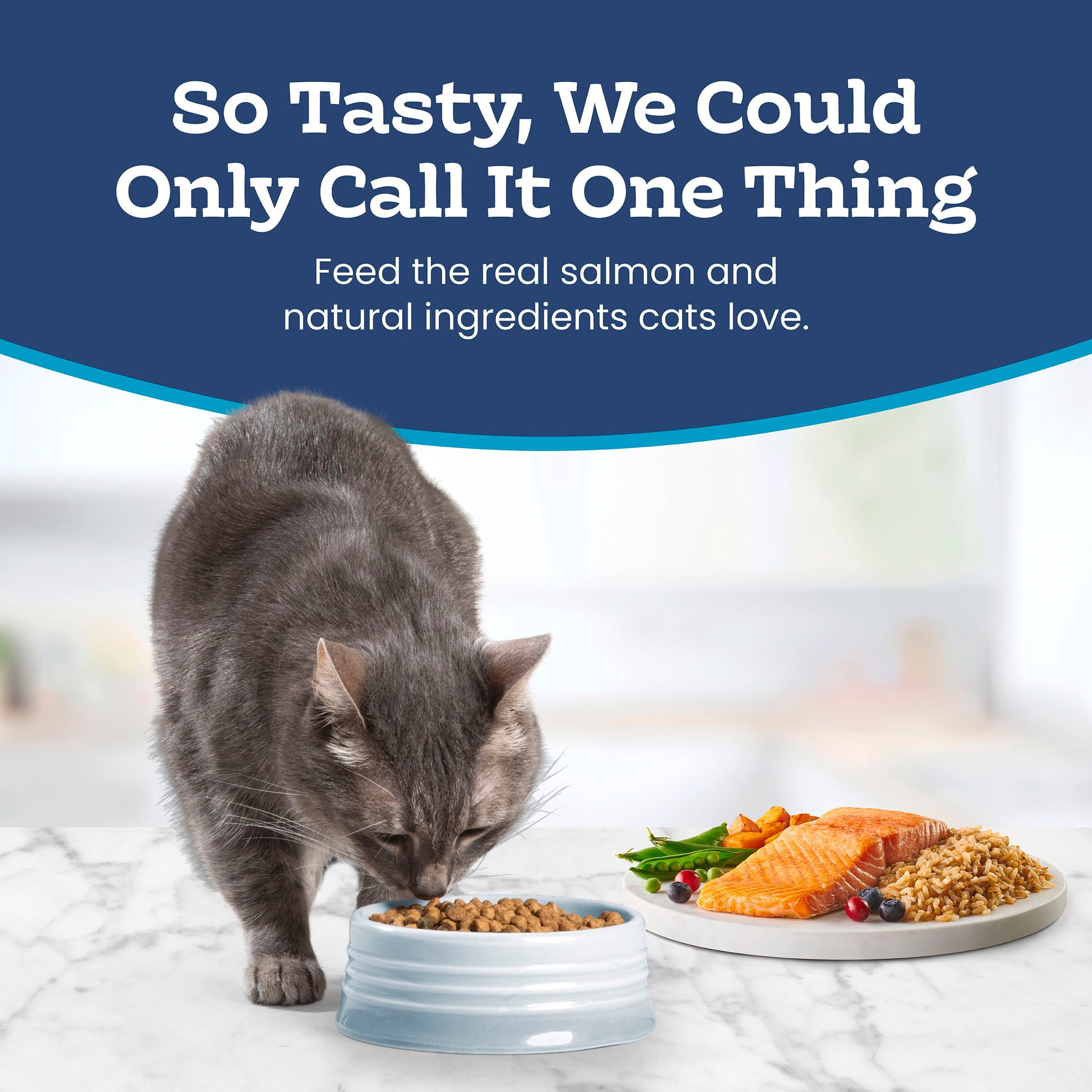 Blue Buffalo Tastefuls Natural Dry Food for Adult Indoor Cats, Salmon & Brown Rice Recipe, 15-lb Bag
