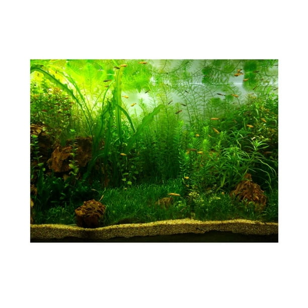 Faginey Water Grass Style Aquarium Fish Tank Background Poster Pvc Adhesive Decor Paper,fish Tank Poster, Fish Tank Background Paper 61*30cm