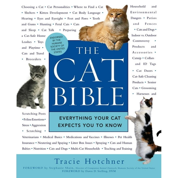 The Cat Bible: Everything Your Cat Expects You to Know, (Paperback)