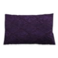 thumbnail image 1 of Ahgly Company Outdoor Rectangular Contemporary Lumbar Throw Pillow, 13 inch by 19 inch, 1 of 5
