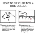thumbnail image 4 of LEEYNEER Dog Choke Collar 12mm Chain Collar Stainless Steel Heavy Duty Cuban Link Dog Chain with Big Ring, 4 of 4