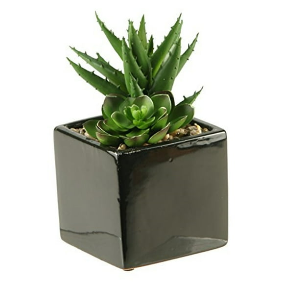D&W Silks Echeveria and Aloe in Square Ceramic Planter