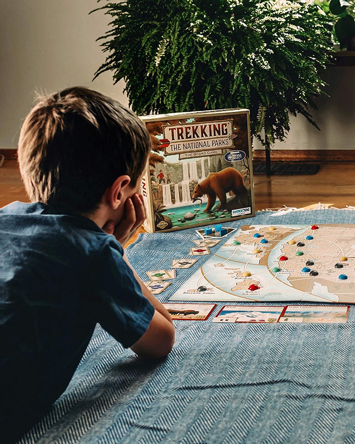 Trekking The National Parks: The Board Game (2nd Edition)